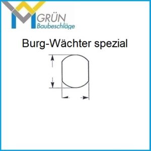Hebelzylinder-Burg-Wächter spezial